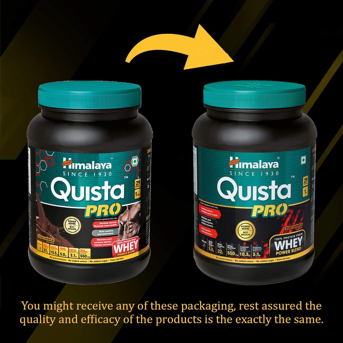 Himalaya Herbals Quista Pro Chocolate Flavor