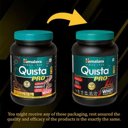 Himalaya Herbals Quista Pro Chocolate Flavor