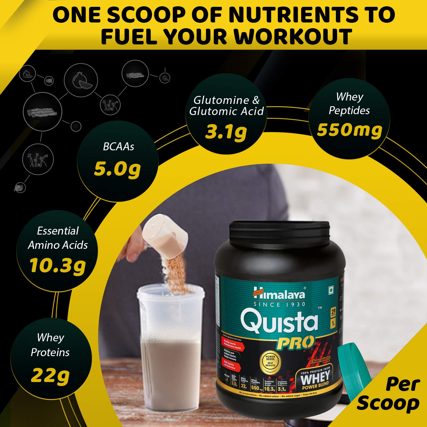 Himalaya Herbals Quista Pro Chocolate Flavor