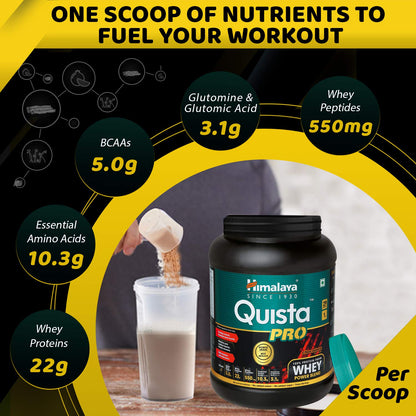 Himalaya Herbals Quista Pro Chocolate Flavor