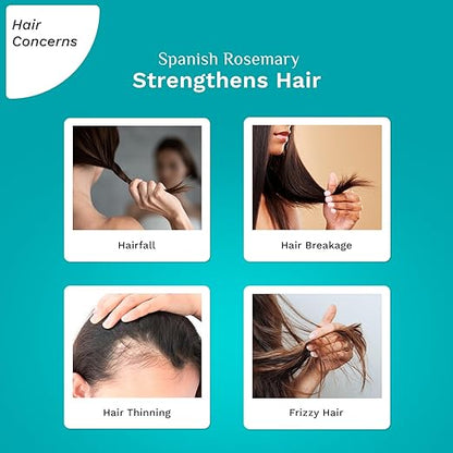 Pilgrim Spanish Rosemary Anti Hairfall Hair Mask