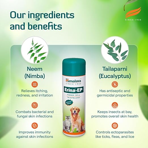 Himalaya Erina-Ep Powder