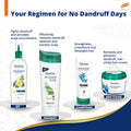 Himalaya Anti-Dandruff Tea Tree Shampoo - PUSHMYCART