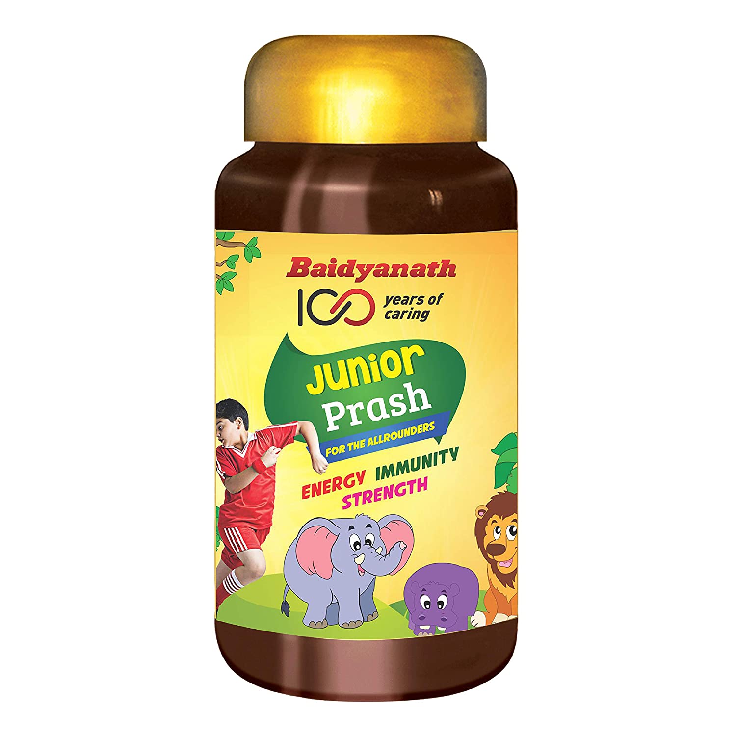 Baidyanath Vansaar Junior Prash 