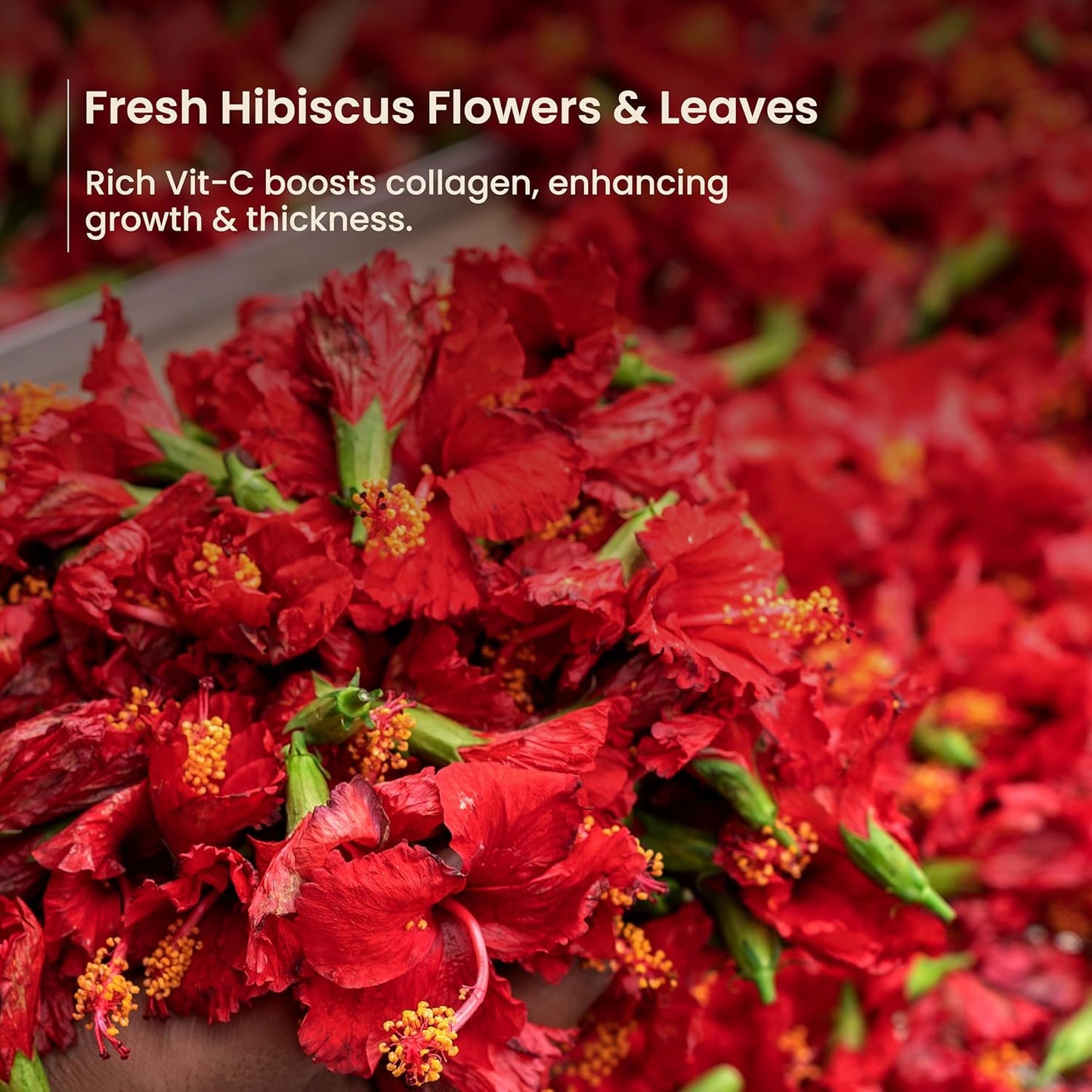 Nat Habit Five Oil Hibiscus Nutri Conditioner