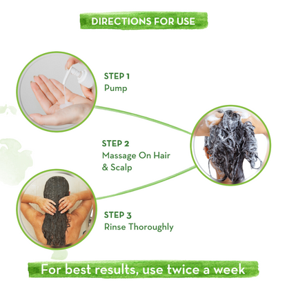 Mamaearth Tea Tree Shampoo for Dandruff Free Hair 250ml - PUSHMYCART