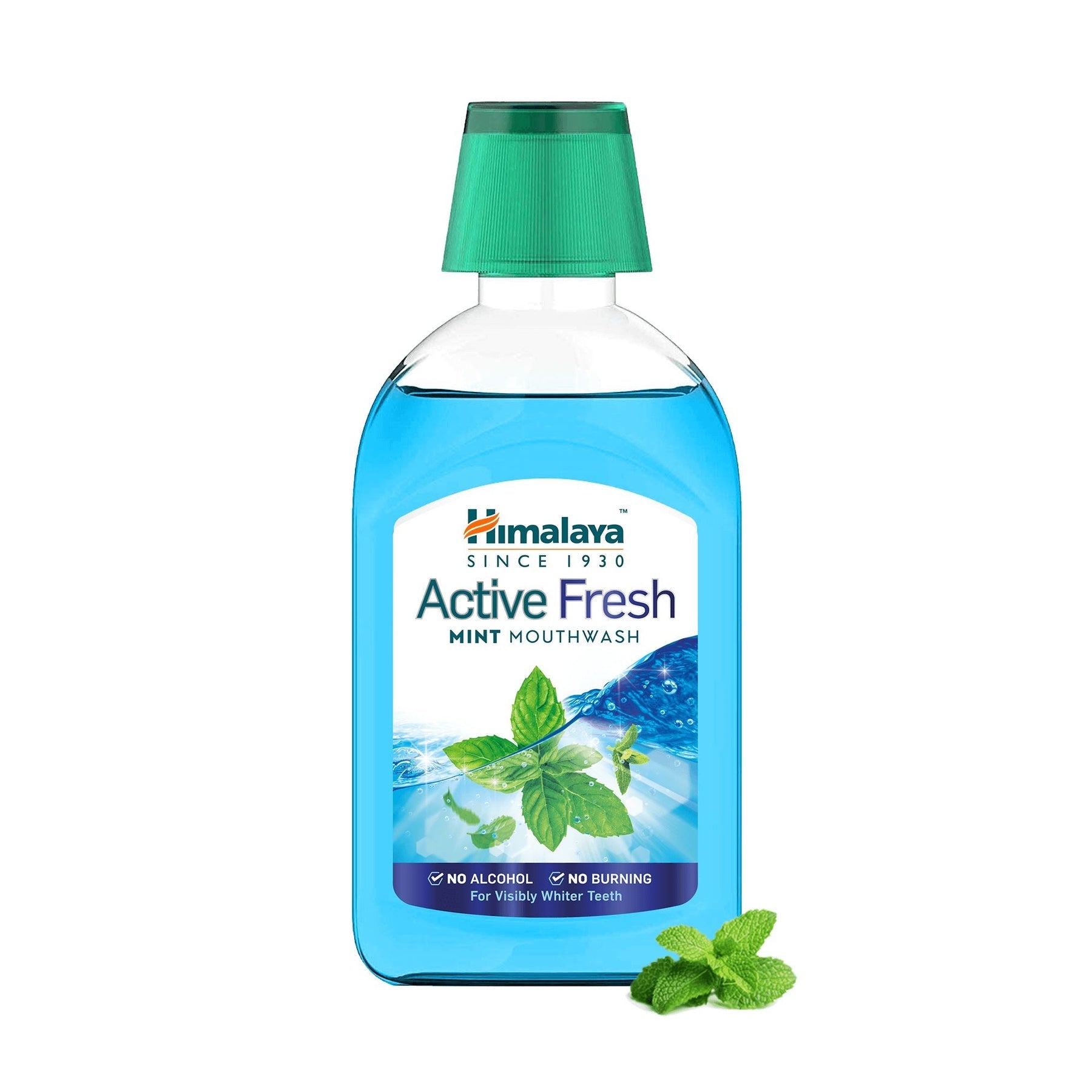 Himalaya Herbals Active Fresh Mint Mouthwash - PUSHMYCART