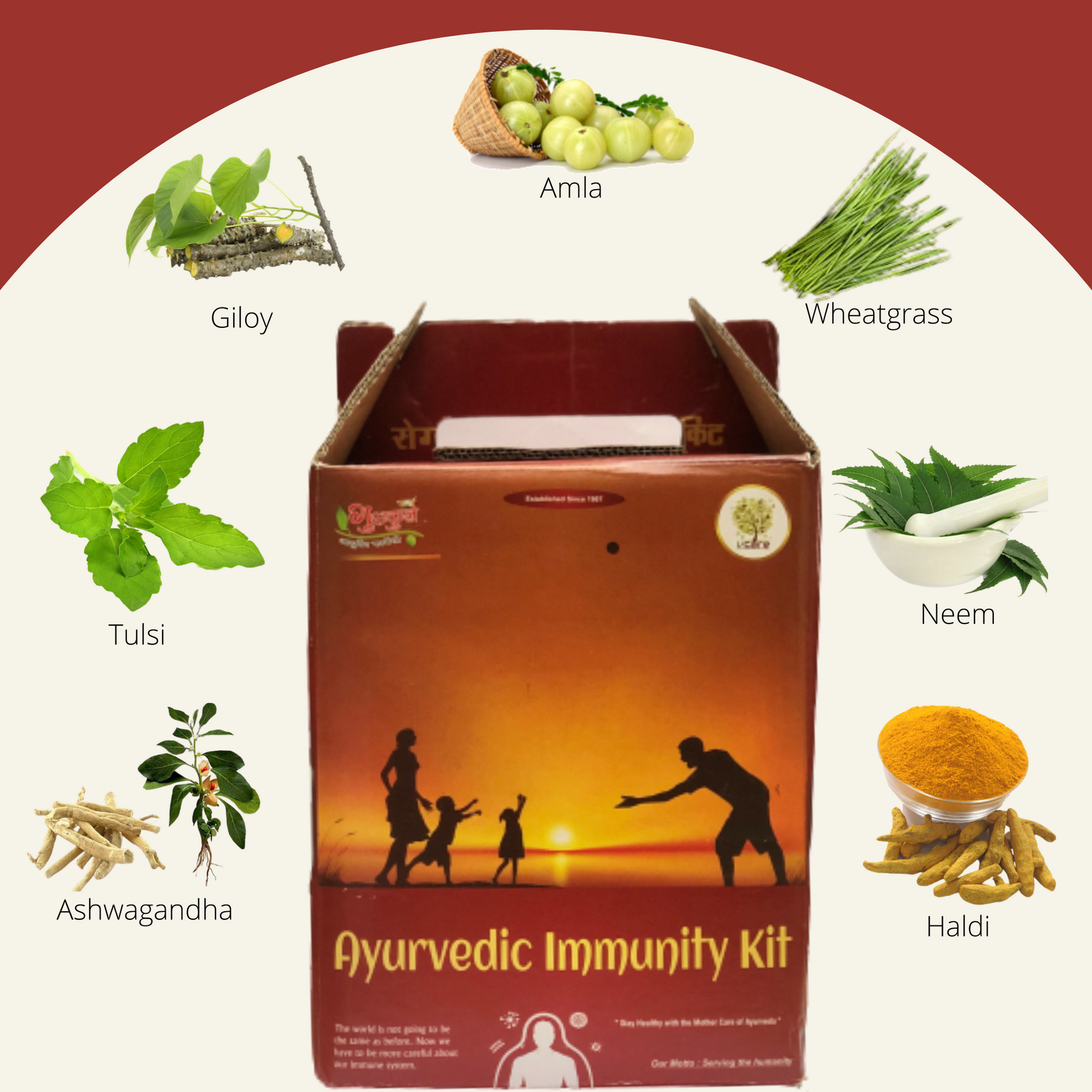 Gurukul Ayurved Pharmacy Family Immunity Kit