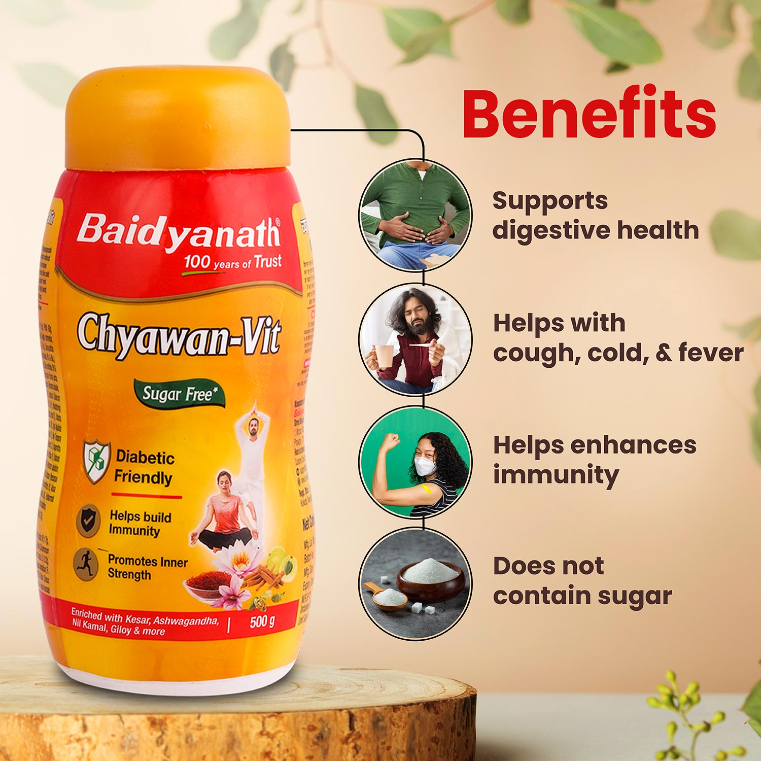 Baidyanath Sugarfree Chyawan Vit