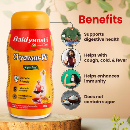 Baidyanath Sugarfree Chyawan Vit