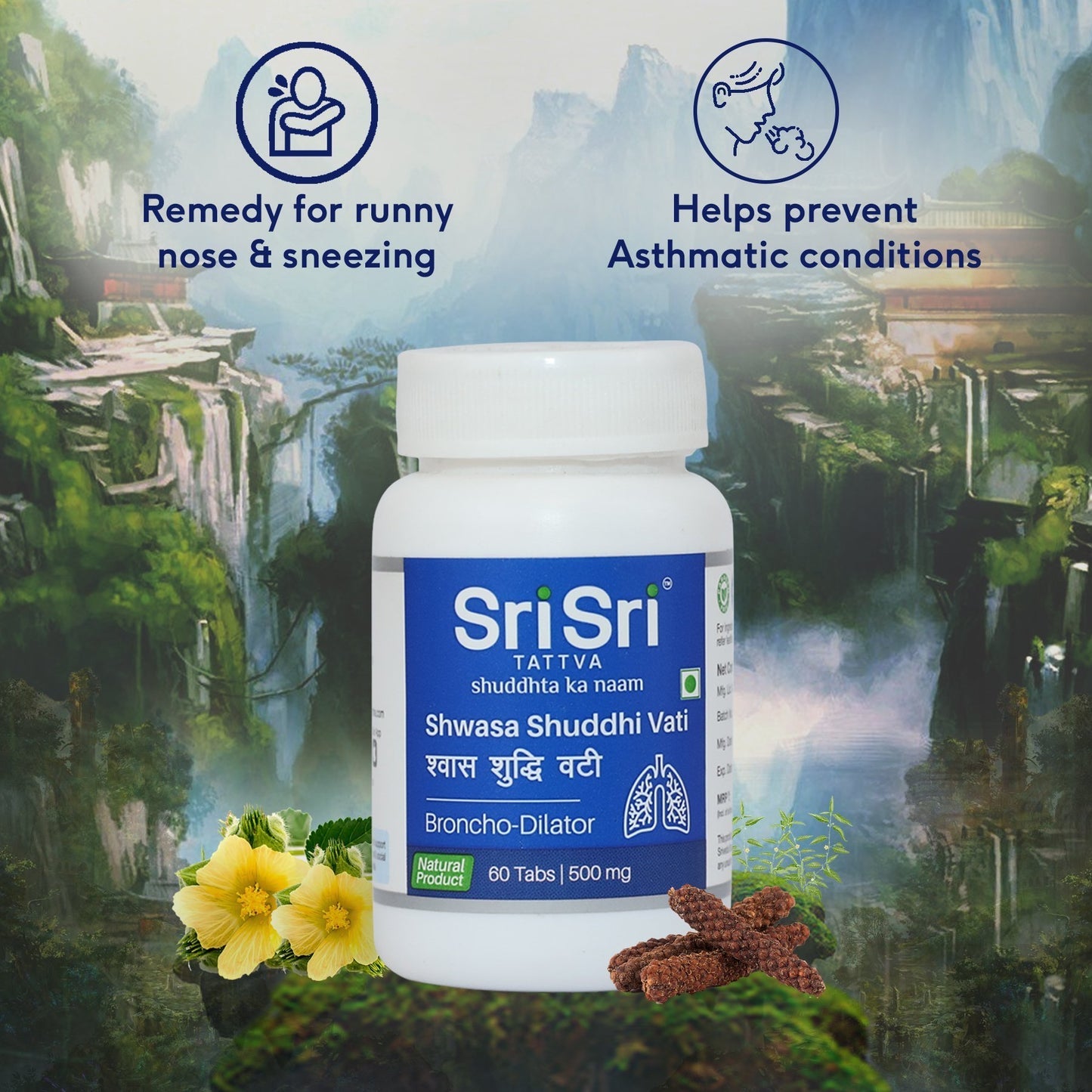 Sri Sri Tattva Shwasa Shuddhi Vati - Broncho Dilator, 60 Tabs