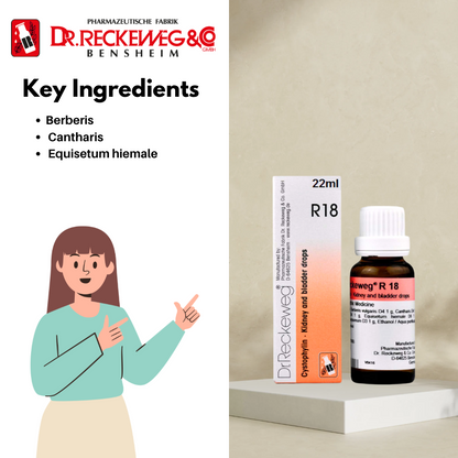 Dr. Reckeweg R18 Kidney and Bladder Drop