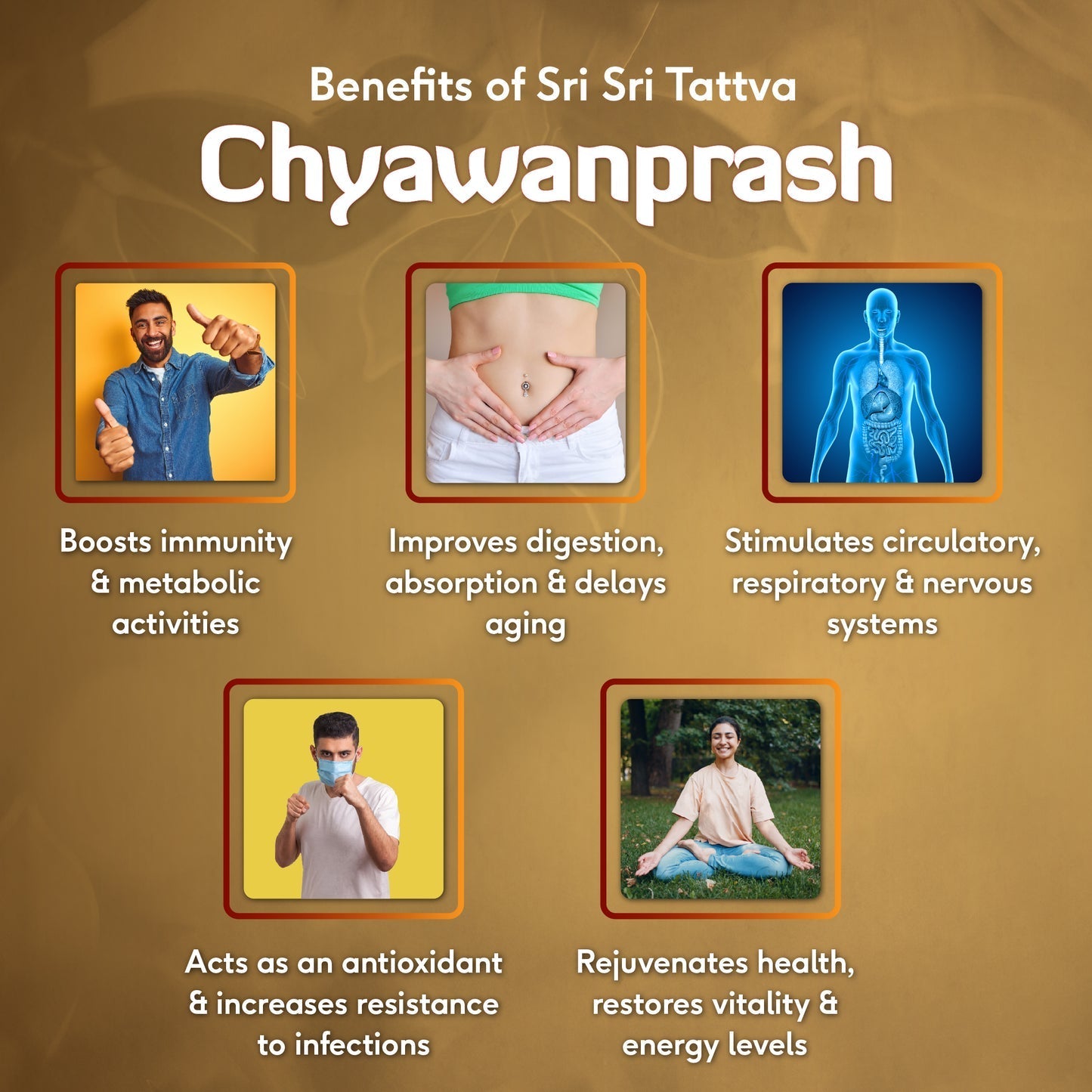 Sri Sri Tattva Chyawanprash 250g - PUSHMYCART