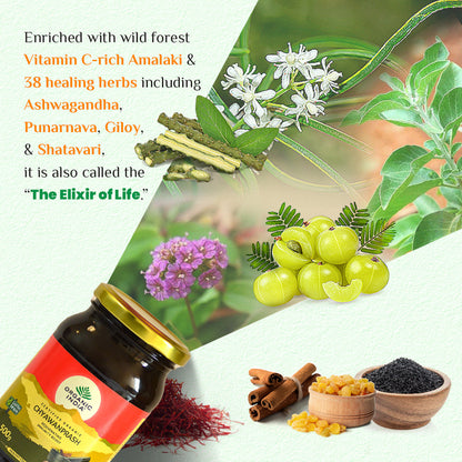 Organic India Organic Chyawanprash jar of Paste - PUSHMYCART