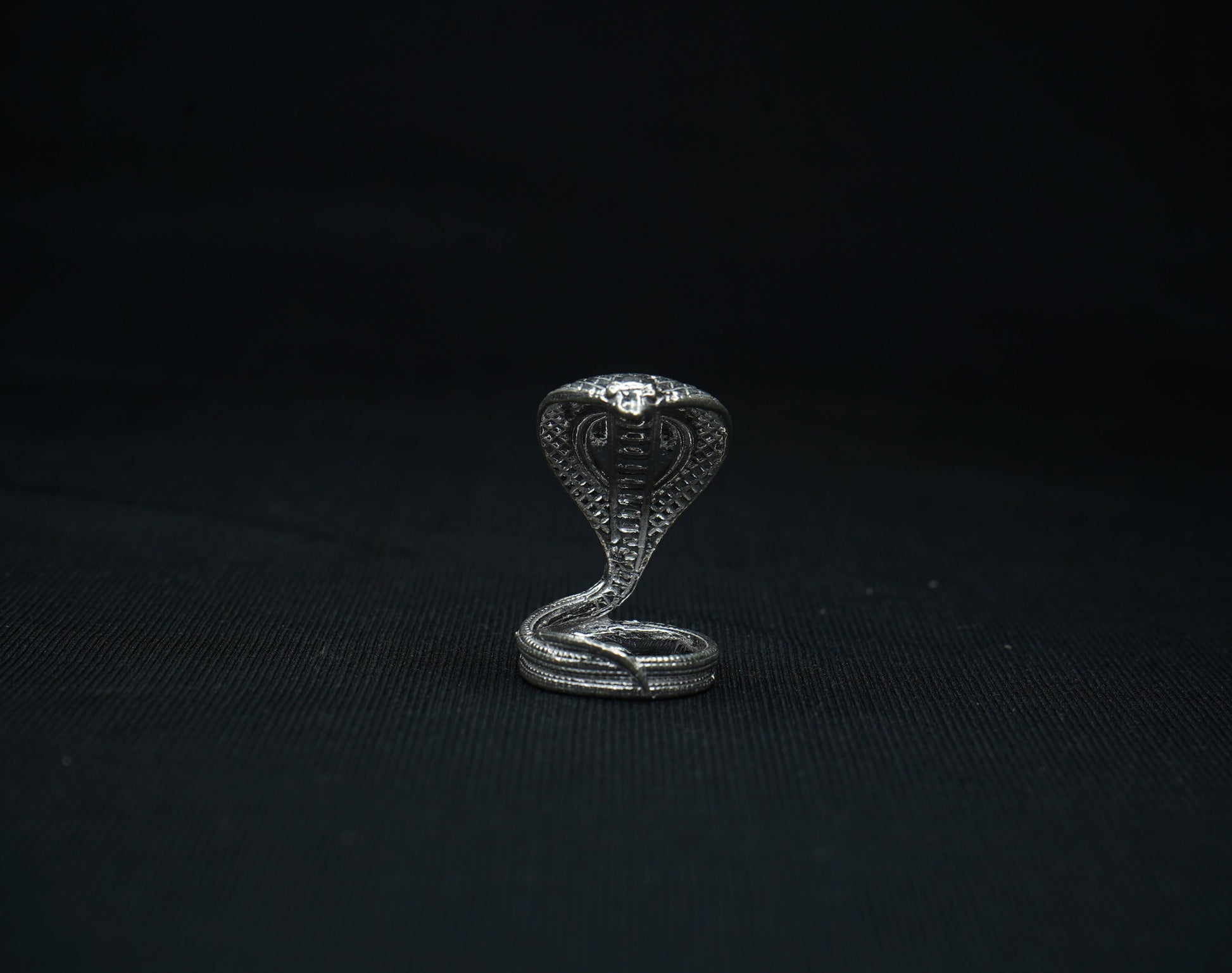 Pure Silver Snake 13g - PUSHMYCART