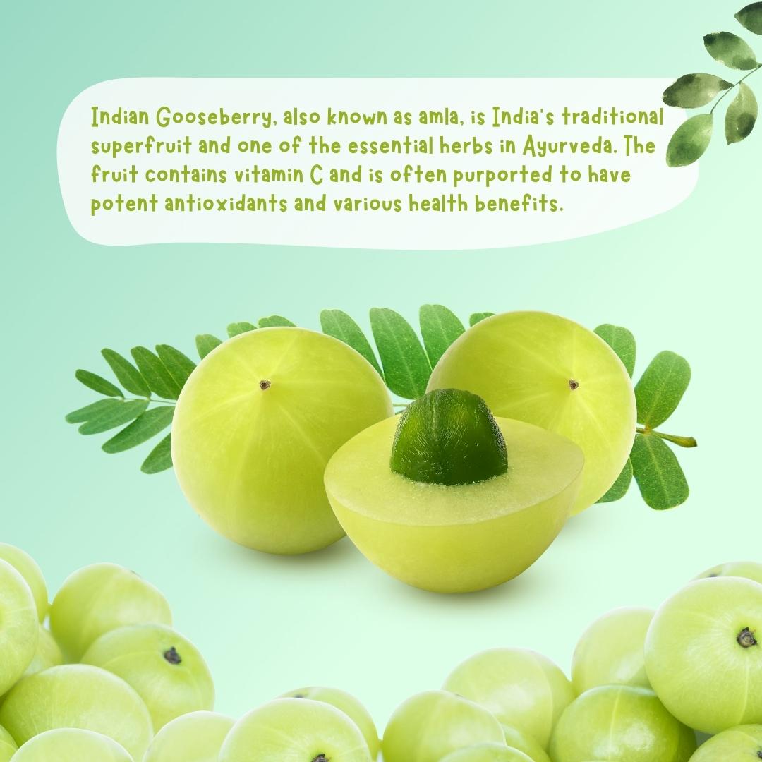 Gooseberry (Amla)