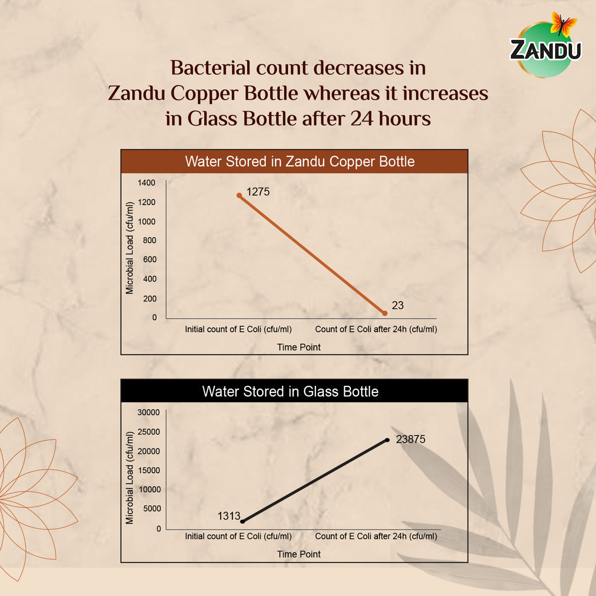 zandu copper water bottle