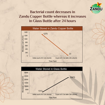 zandu copper water bottle