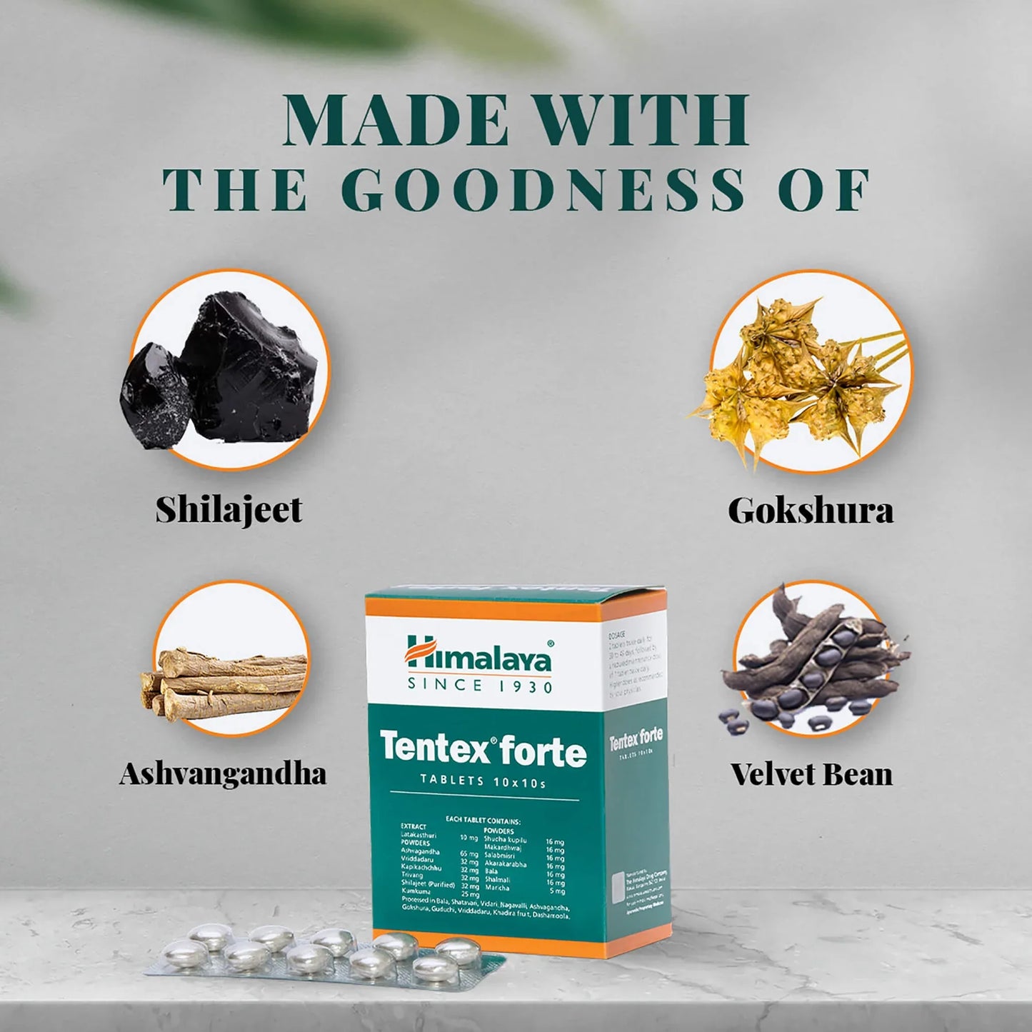 Himalaya Tentex Forte Tablet - PUSHMYCART