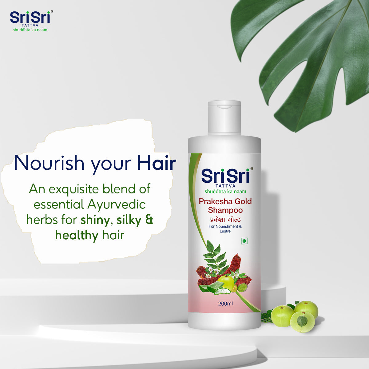 Sri sri tattva prakesha gold shampoo - PUSHMYCART