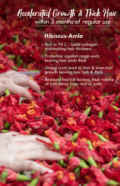 Nat Habit Hibiscus Dasabuti Summer Amla Hair Oil