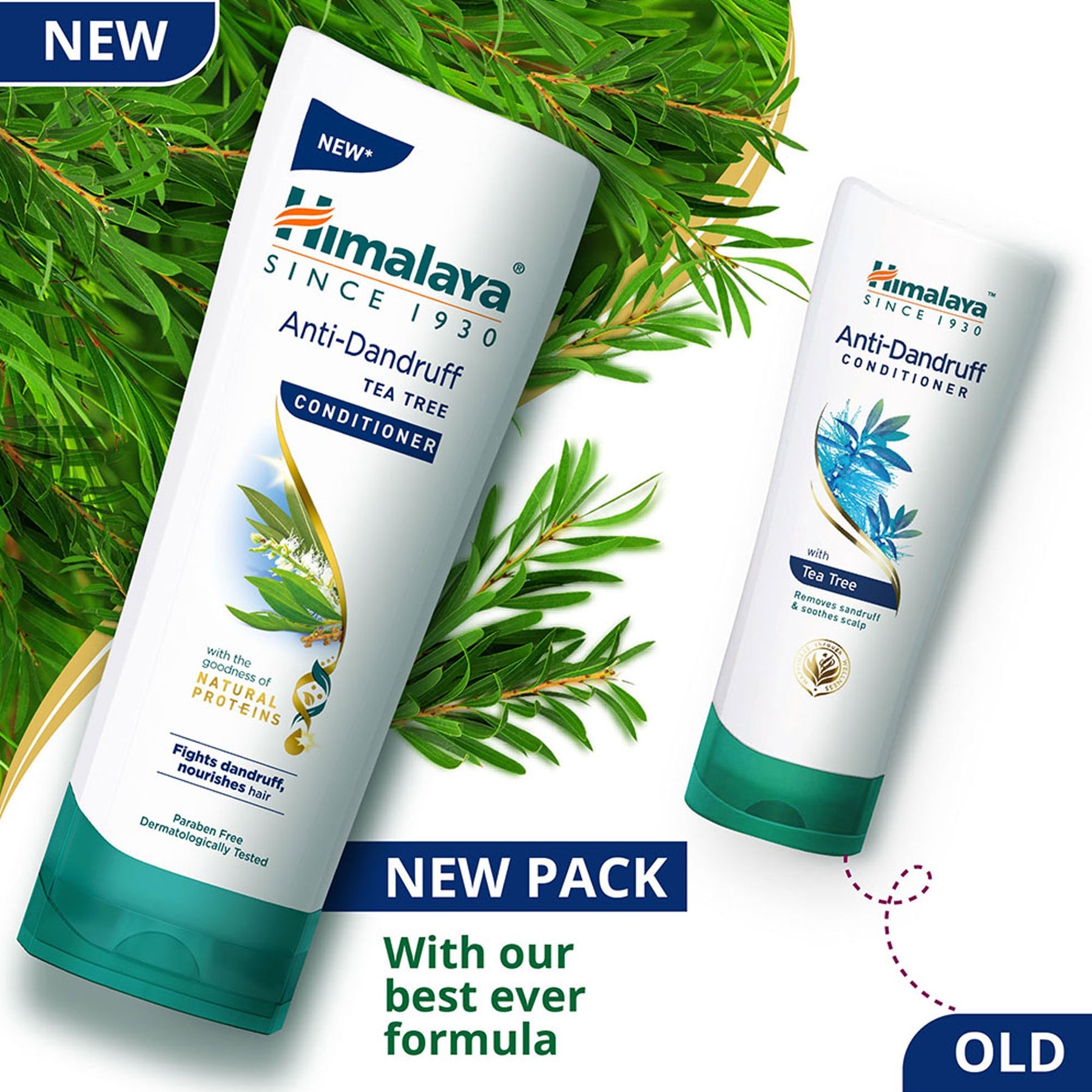 Himalaya Anti Dandruff Hair Conditioner 100ml - PUSHMYCART