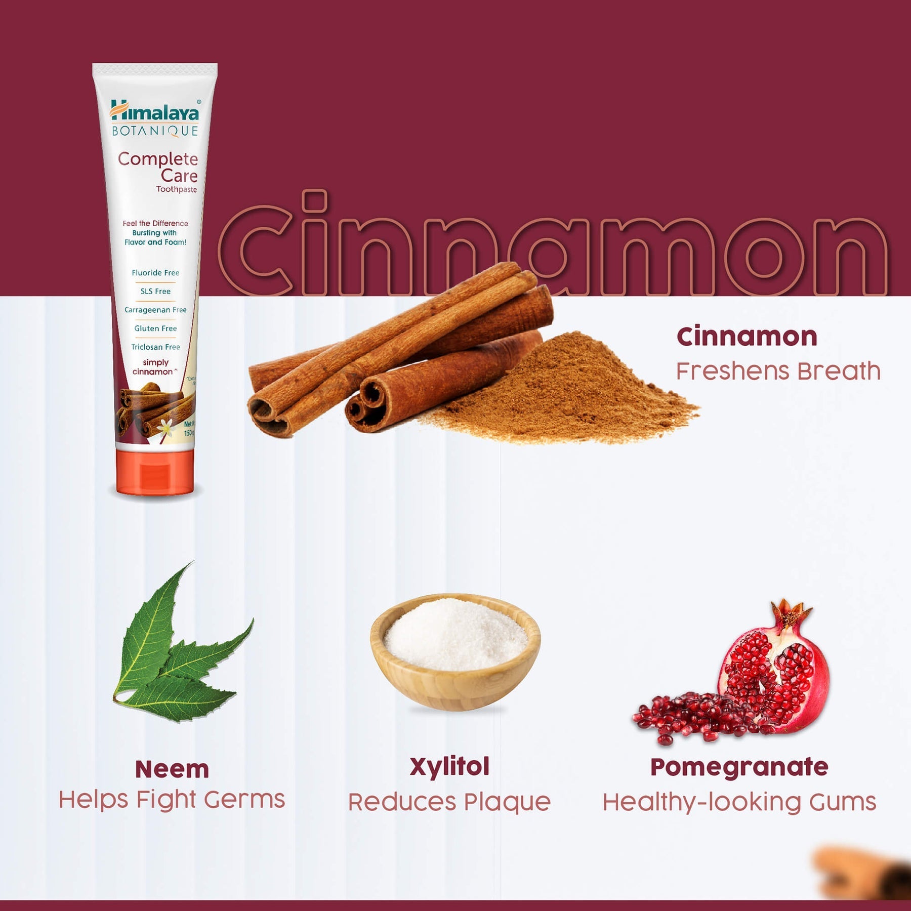 Himalaya Botanique Complete Care Toothpaste |Simply Cinnamon - PUSHMYCART