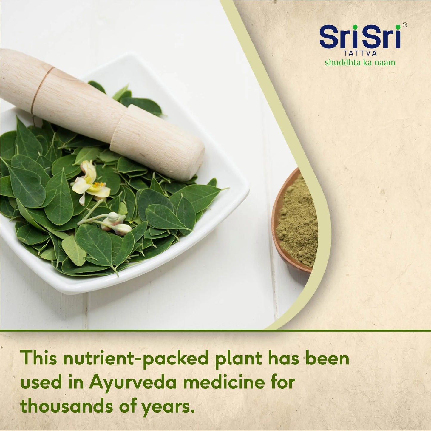 Sri Sri Tattva Moringa Powder