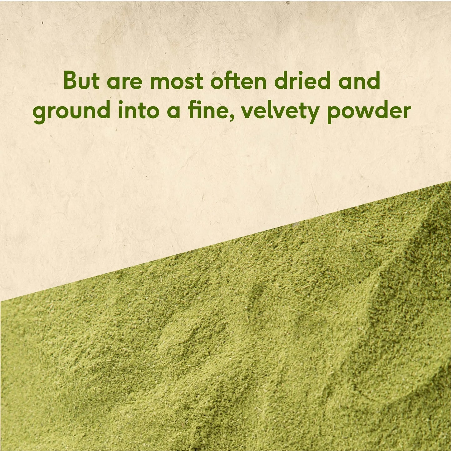 Sri Sri Tattva Moringa Powder
