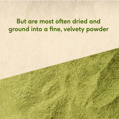 Sri Sri Tattva Moringa Powder