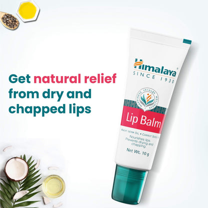 Himalaya Herbals Lip Balm - PUSHMYCART