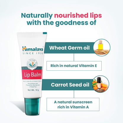 Himalaya Herbals Lip Balm - PUSHMYCART