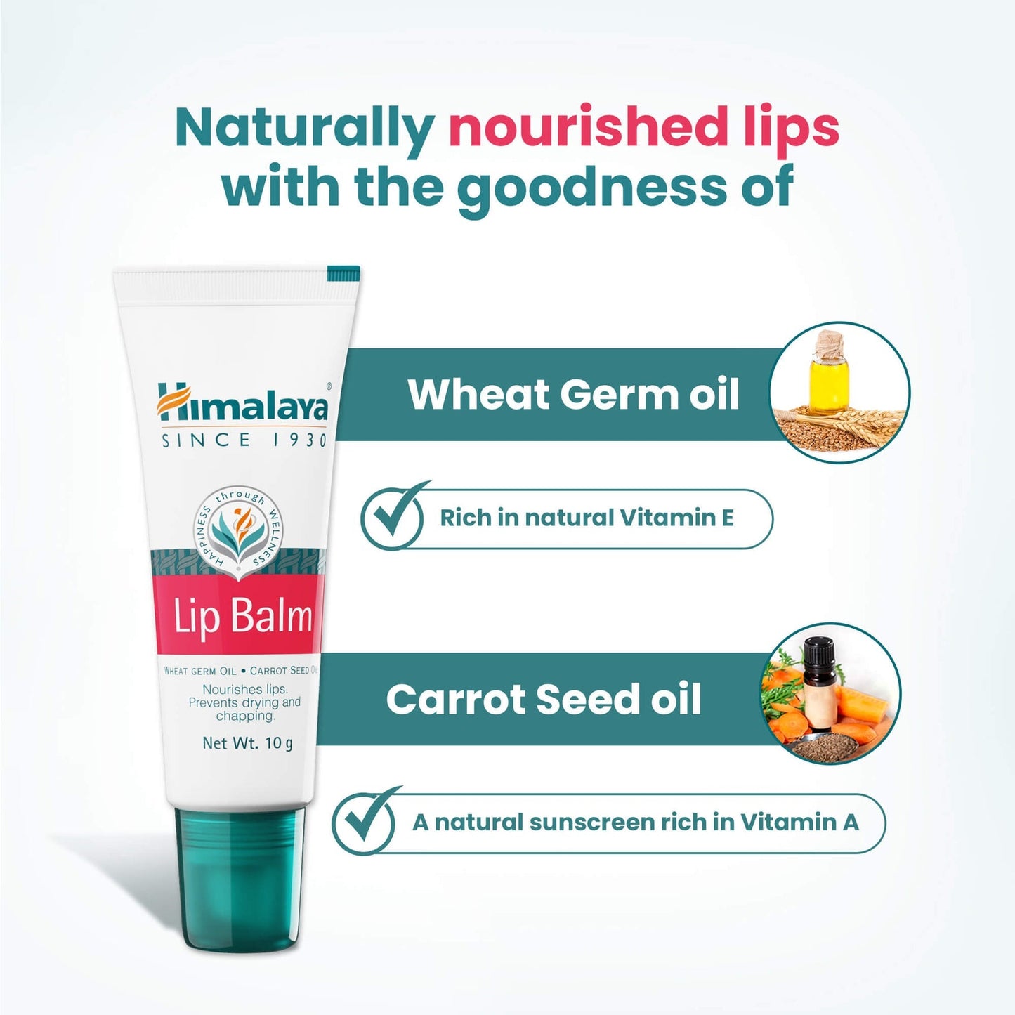 Himalaya Herbals Lip Balm - PUSHMYCART