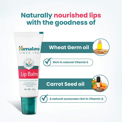 Himalaya Herbals Lip Balm - PUSHMYCART