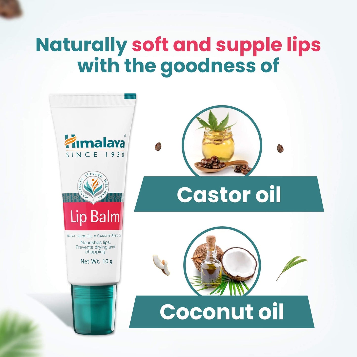 Himalaya Herbals Lip Balm - PUSHMYCART