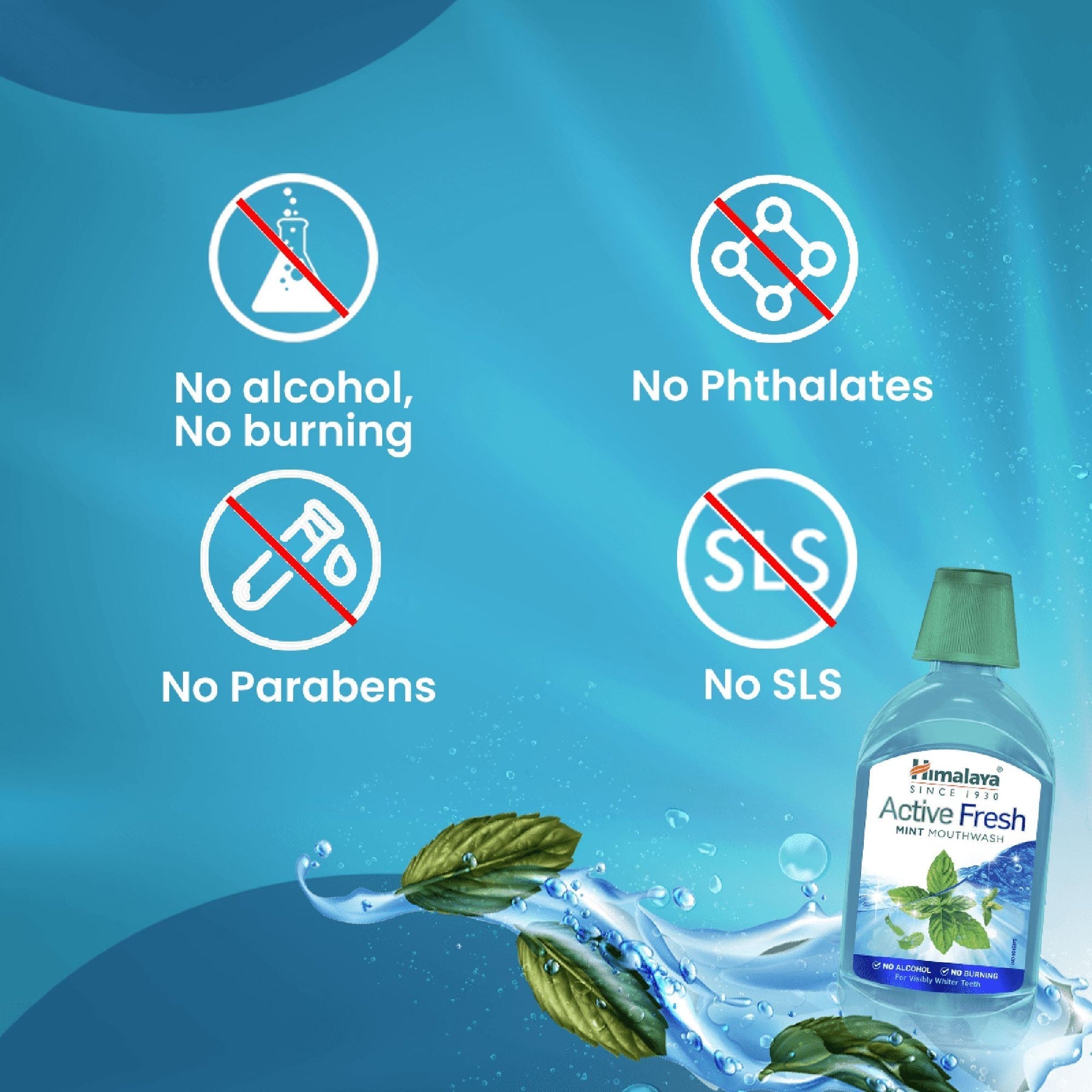 Himalaya Herbals Active Fresh Mint Mouthwash - PUSHMYCART