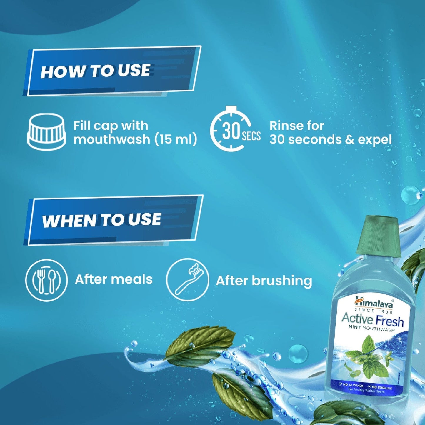 Himalaya Herbals Active Fresh Mint Mouthwash - PUSHMYCART