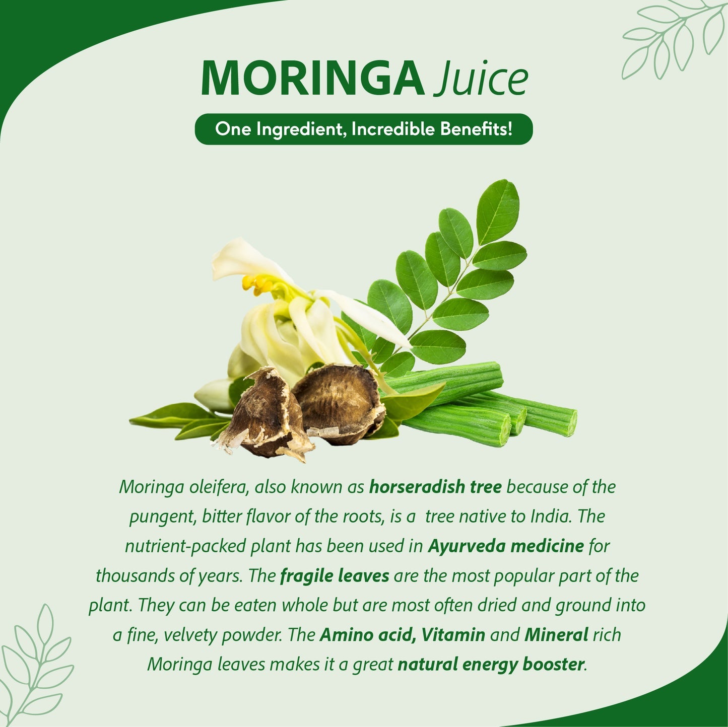 Sri Sri Tattva Moringa Juice