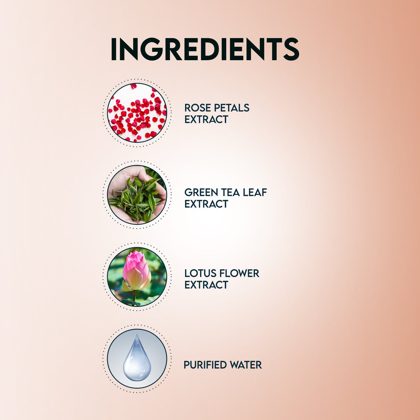 Jovees Rose Body Wash