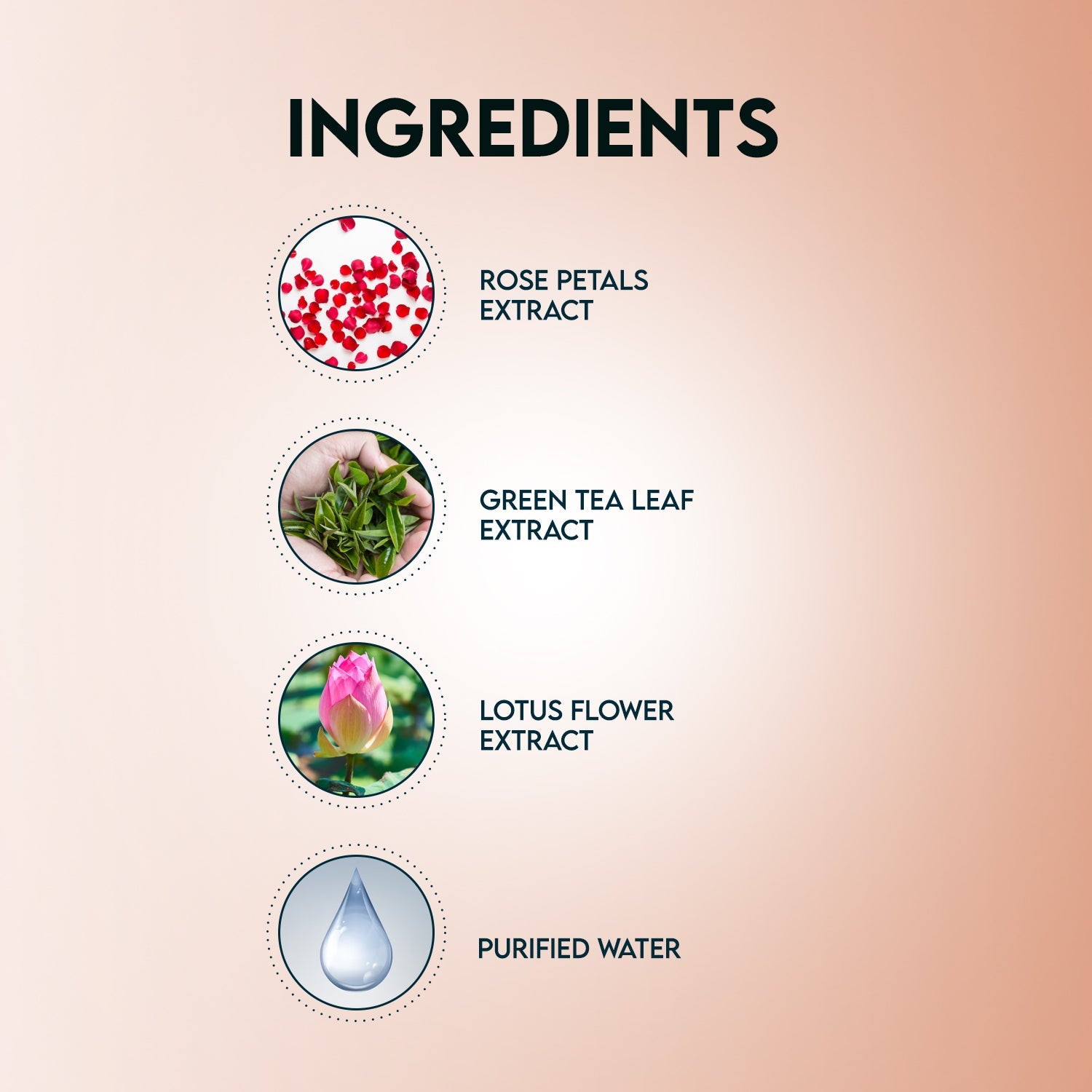 Jovees Rose Body Wash
