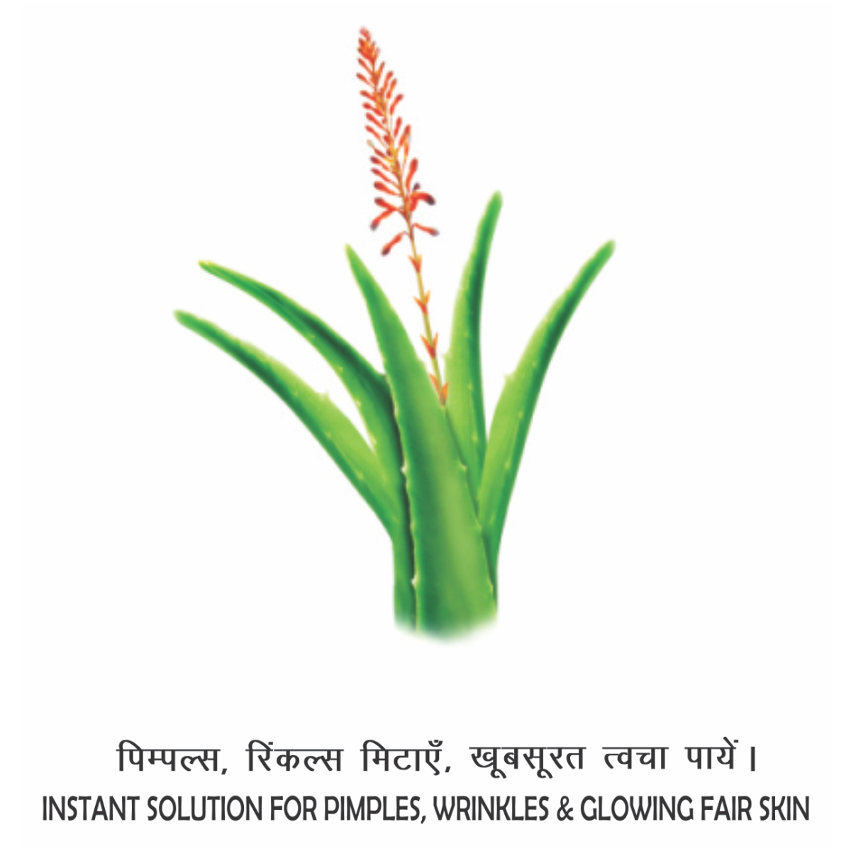 Patanjali Saundarya Aloe Vera Gel Kesar Chandan