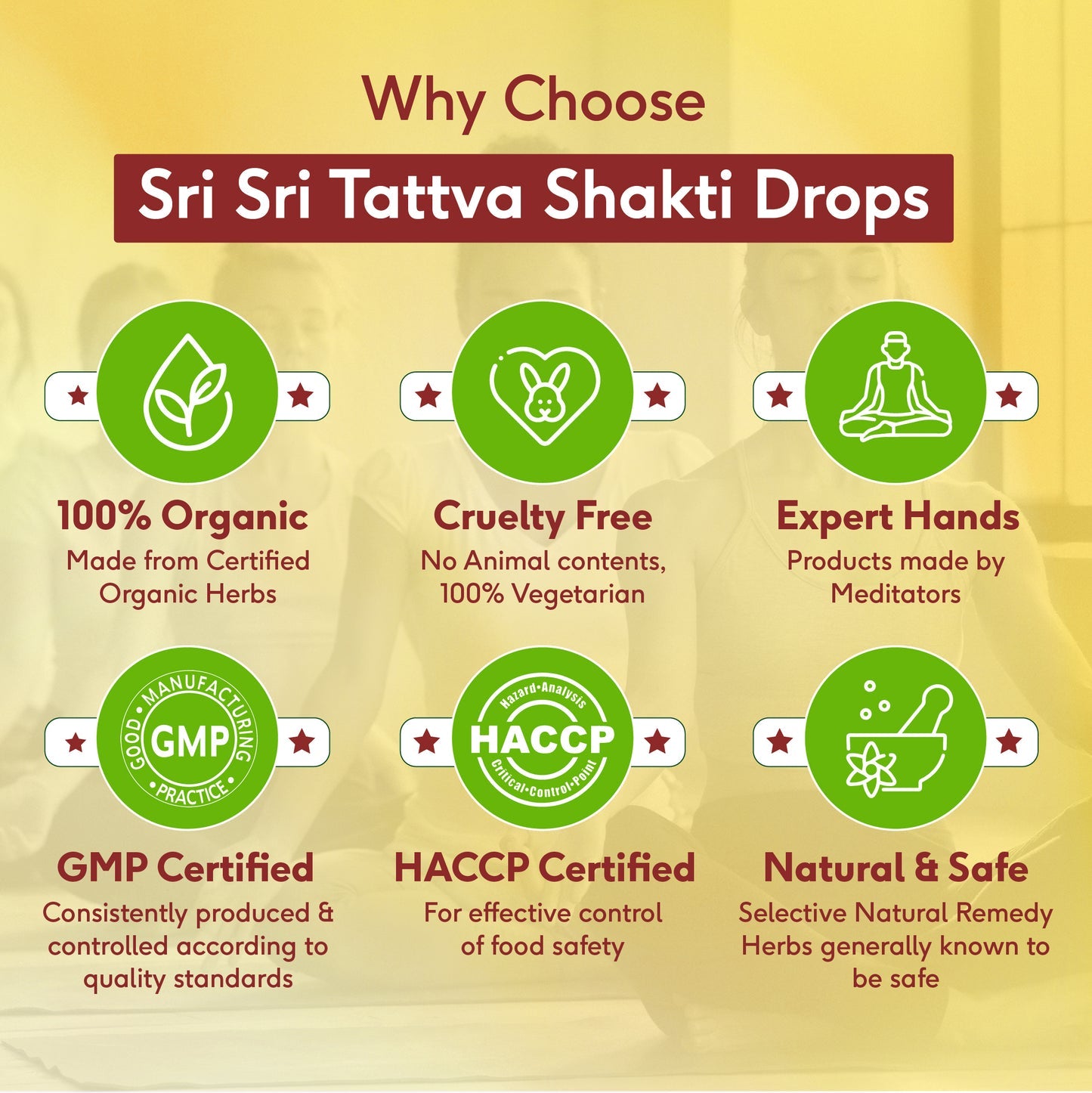 Sri Sri Tattva Shakti Drops - Ayurvedic Immunity Booster