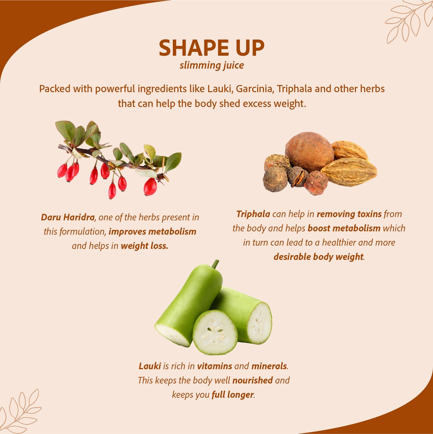 Sri Sri Tattva Shape Up, Slimming Juice