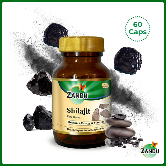 Zandu Shilajit 60 Capsule