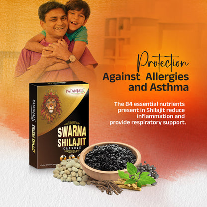 Patanjali Swarna Shilajit Capsule