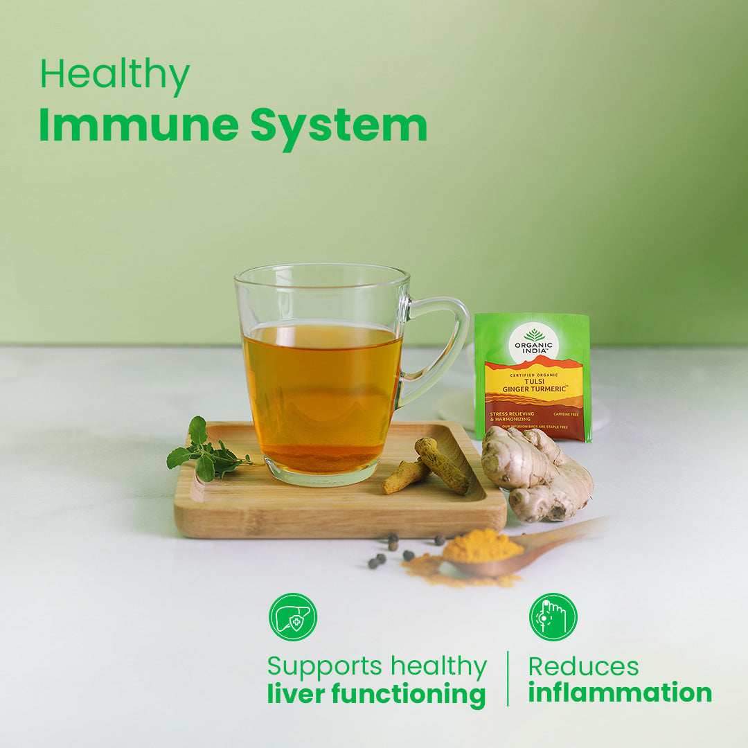 Organic India Tulsi Ginger Turmeric Tea - PUSHMYCART