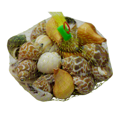 Shankh Seepiya Collection | Natural Sea Shells (  pack of 4)