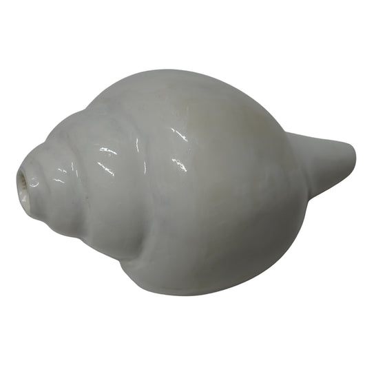 Premium Vishnu Shankh for Puja & Meditation