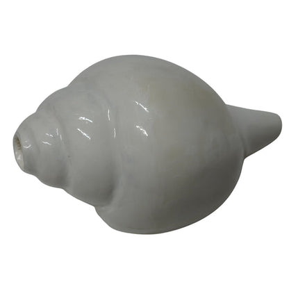 Premium Vishnu Shankh for Puja & Meditation