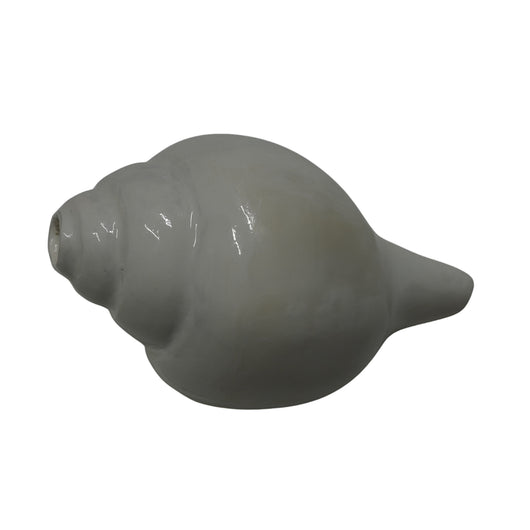 Premium Vishnu Shankh for Puja & Meditation